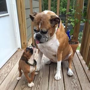 Meet your Posher, Kimberly